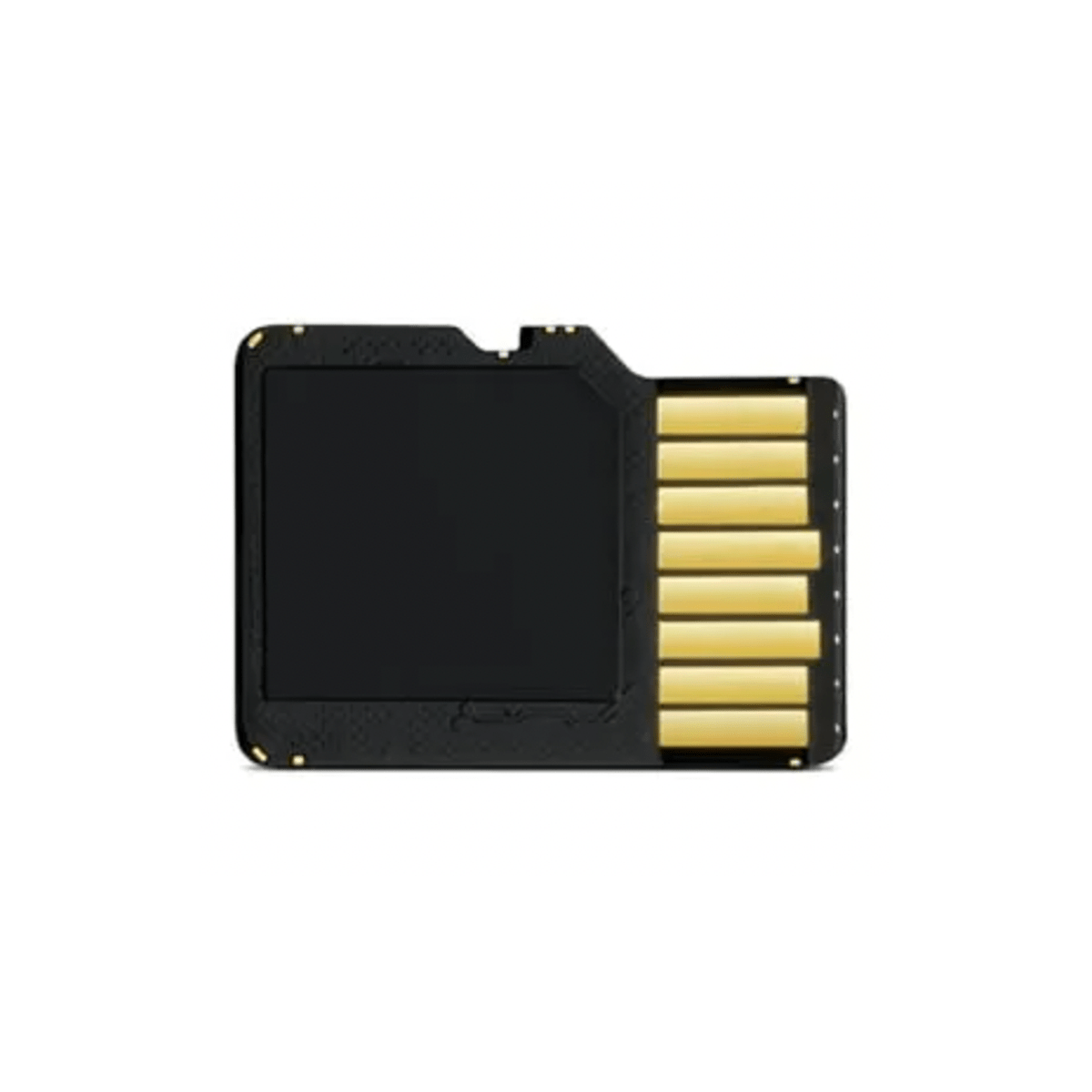 Garmin 16 GB microSD™ Class 10 Card with SD Adapter - Dongar Technologies LLC